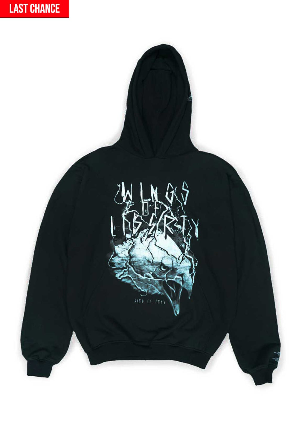 Storm Eagle Hoodie - Wings Of Liberty Clothing