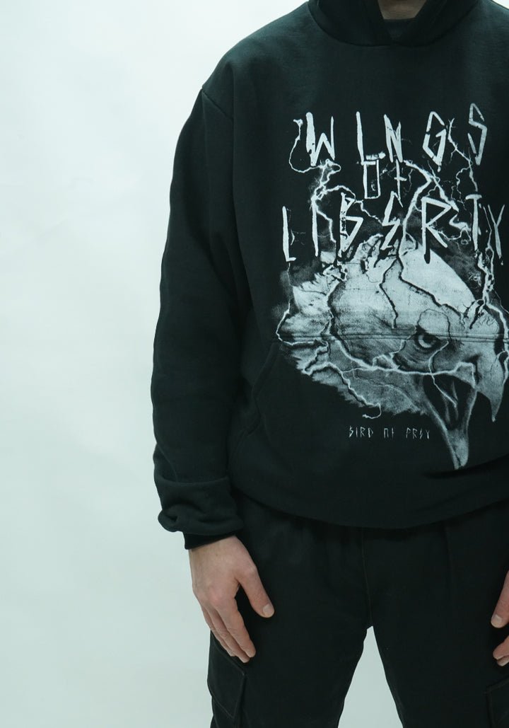 Storm Eagle Hoodie - Wings Of Liberty Clothing